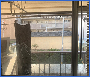 ベランダに続く扉に放射状の亀裂が入った画像