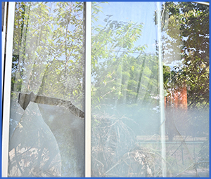 外の緑が写ってる割れた窓ガラス画像
